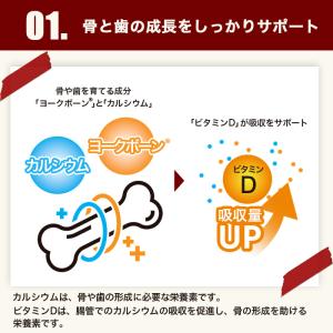 ジュニアプロテイン 600g 栄養機能食品 プ...の詳細画像5