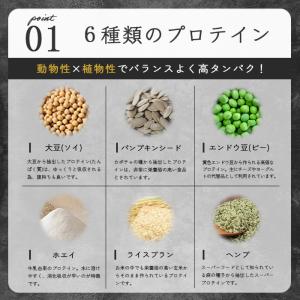 シェイクイーン 300g 選べる10種類 フレ...の詳細画像4