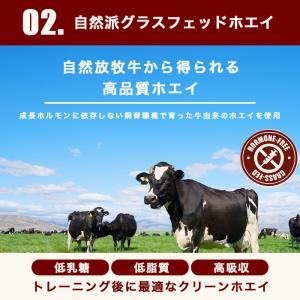 WPI ホエイプロテイン アイソレート グラス...の詳細画像5