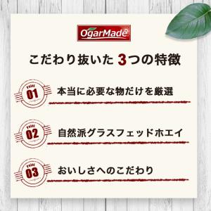 WPI ホエイプロテイン アイソレート グラス...の詳細画像2