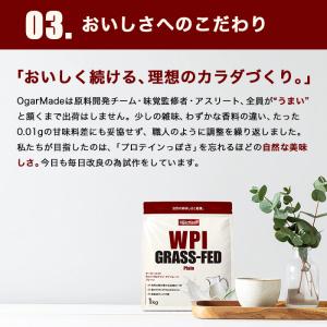 WPI ホエイプロテイン アイソレート グラス...の詳細画像5