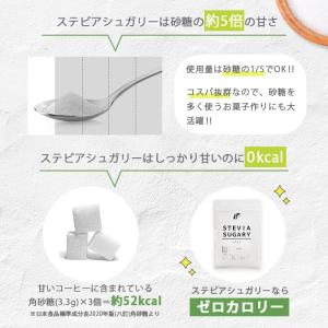 ステビアシュガリー 1kg パウダー ステビア...の詳細画像4