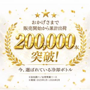 在庫限り 特別価格!★氷のう 氷嚢 アイスパッ...の詳細画像2
