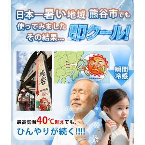 ★最安1点1420円!さらに特典付き★氷のう ...の詳細画像1