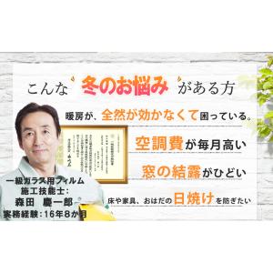 クーポン配布中!【NASA新素材使用】窓ガラス...の詳細画像2