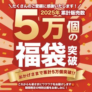 5点入 防寒グッズ 福袋 あったかグッズ 福袋...の詳細画像3