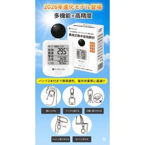 ＼最安1点2200円/2026最新 黒球式熱中...の詳細画像1