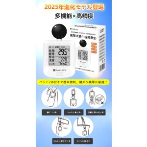 【即納・翌日到着】JIS適合品 黒球式熱中症指...の詳細画像1