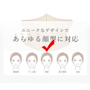 【春夏向け・乾燥対策】20枚 3Dマスク 不織...の詳細画像3