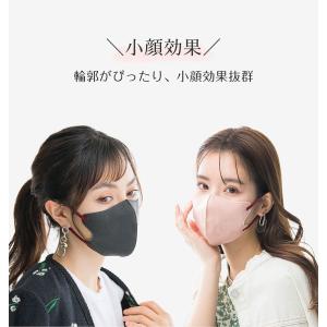 【春夏向け・乾燥対策】20枚 3Dマスク 不織...の詳細画像1