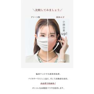 【春夏向け・乾燥対策】20枚 3Dマスク 不織...の詳細画像4
