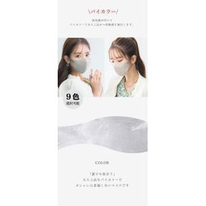 【春夏向け・乾燥対策】20枚 3Dマスク 不織...の詳細画像5