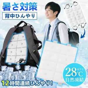 ＼81％OFF価格！／リュック用 冷感パッド 自然凍結 クールリュック アイスリュック クールパッド 暑さ対策 冷たい ひんやり 背中パッド ランドセル 学生 通勤