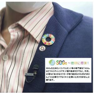 2個 sdgsバッジ 国連最新仕様 sdgs ...の詳細画像3
