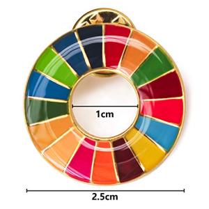 2個 sdgsバッジ 国連最新仕様 sdgs ...の詳細画像4