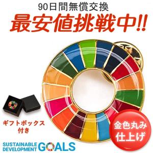 人気❣️バッジ　SDGs 国連 バッジ　ミラーコーティング 丸み仕上げ Amazon.co.jp: 【5個セット】SDGsバッジ 国連正規品 ミラー