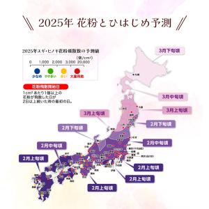 ★360度全方位ガード★フェイスカバー 花粉対...の詳細画像1