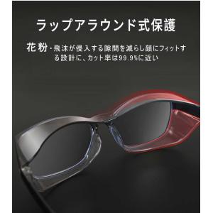 花粉ガード!★ 防塵 花粉 メガネ くもり止め...の詳細画像3