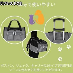 ペットキャリーバッグ 犬 猫 2匹 小型犬 リ...の詳細画像2