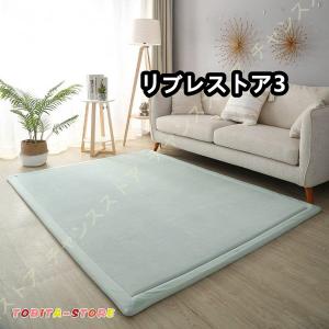 ラグ カーペット 極厚 ラグマット 200*100cm 厚手 250×200 約2cm 撥水加工 滑り止め付 防音 遮音 抗菌 防ダニ加工 床暖房 ホットカーペット対応 じゅうたん｜librestore3