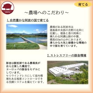 ベーコン 無塩せき スライス 徳島県産 阿波美...の詳細画像3