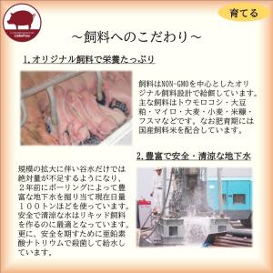 ベーコン 無塩せき スライス 徳島県産 阿波美...の詳細画像5