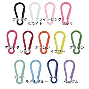 カラー カラビナ 可愛い カラフル 【1個販売...の詳細画像1