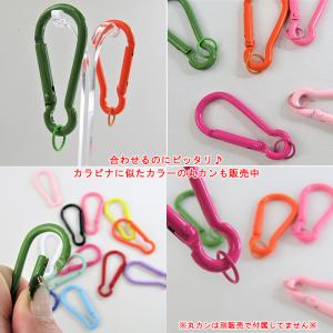 カラー カラビナ 可愛い カラフル 【1個販売...の詳細画像3