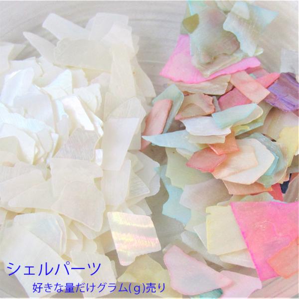 シェルパーツ ネイル レジン 封入 デコ 天然貝 塗装貝 ホワイト カラー g販売 1g 選べる パ...