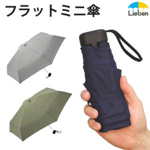 傘 折りたたみ レディース メンズ フラットミニ傘 50cm 軽い 軽量 スリム 開きやすい 無地 男女兼用 LIEBEN-0205の商品画像