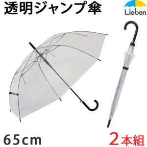 (2本組) 傘 ビニール傘 メンズ レディース 親骨65cm 大きい傘 耐風グラスファイバー骨 LIEBEN-0631｜lieben2000