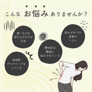 腰サポーター 腰ベルト 男女兼用 骨盤ベルト ...の詳細画像1