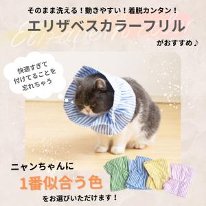 エリザベスカラーフリル 猫 犬 傷防止 カラー...の詳細画像2