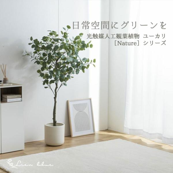 ユーカリ 植木 光触媒 グリーン 150cm アーティフィシャルフラワー 人工観葉植物 リビング 緑...