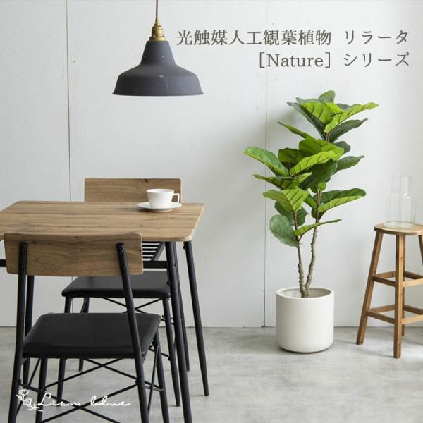 リラータ 植木 光触媒 120cm グリーン アーティフィシャルフラワー 人工観葉植物 カシワバゴム...