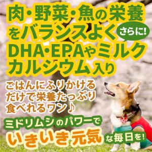 バイオザイムワン ペット用 ユーグレナ ミドリ...の詳細画像3