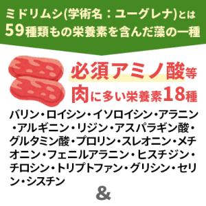 バイオザイムワン ペット用 ユーグレナ ミドリ...の詳細画像4