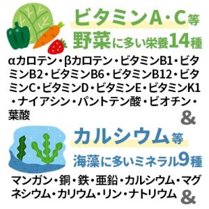 バイオザイムワン ペット用 ユーグレナ ミドリ...の詳細画像5