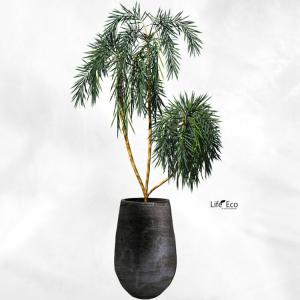 植木鉢 釉薬陶器製 大型 ライスター トール ...の詳細画像2