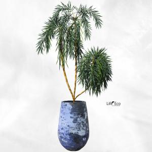植木鉢 釉薬陶器製 大型 ライスター トール ...の詳細画像2