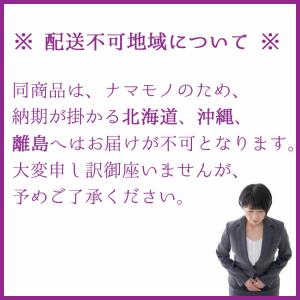 観葉植物 大型 モンステラ・デリシオーサ(根上...の詳細画像5