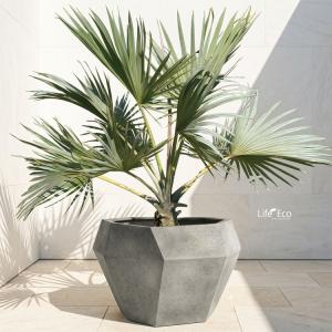 植木鉢 大型 軽量 FRP製 オクタジオ(OC...の詳細画像2