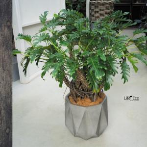 植木鉢 大型 軽量 FRP製 オクタジオ(OC...の詳細画像4