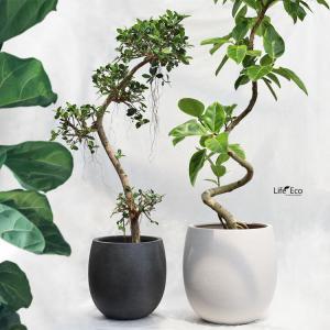 植木鉢 軽量大型 FRP製 プラスター Uポッ...の詳細画像4