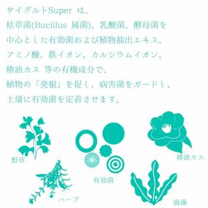 植物活力剤・土壌改良剤・堆肥化促進剤 サイグル...の詳細画像2
