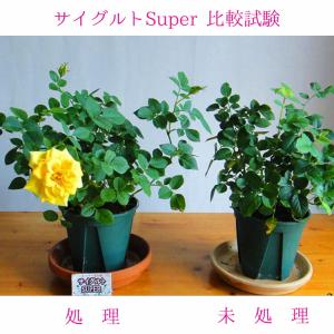 植物活力剤・土壌改良剤・堆肥化促進剤 サイグル...の詳細画像3