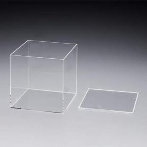 エスコ ESCO EA440DP-100 100x100x100mm/3mm アクリルボックス