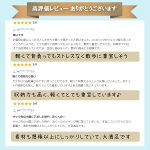 折りたたみリュック エコバッグ リュック 折り...の詳細画像2
