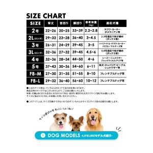 ライフライク ハッピーボックススペシャル 犬 ...の詳細画像2