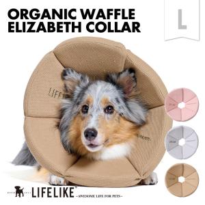 うまか 犬 ドッグフード 1.5kg プレミアム UMAKA umaka : SBSヤフー